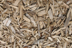 biomass boilers Dun Gainmhich